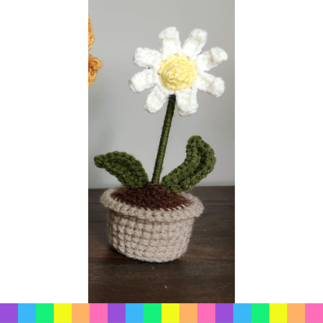 Small Flower Pots