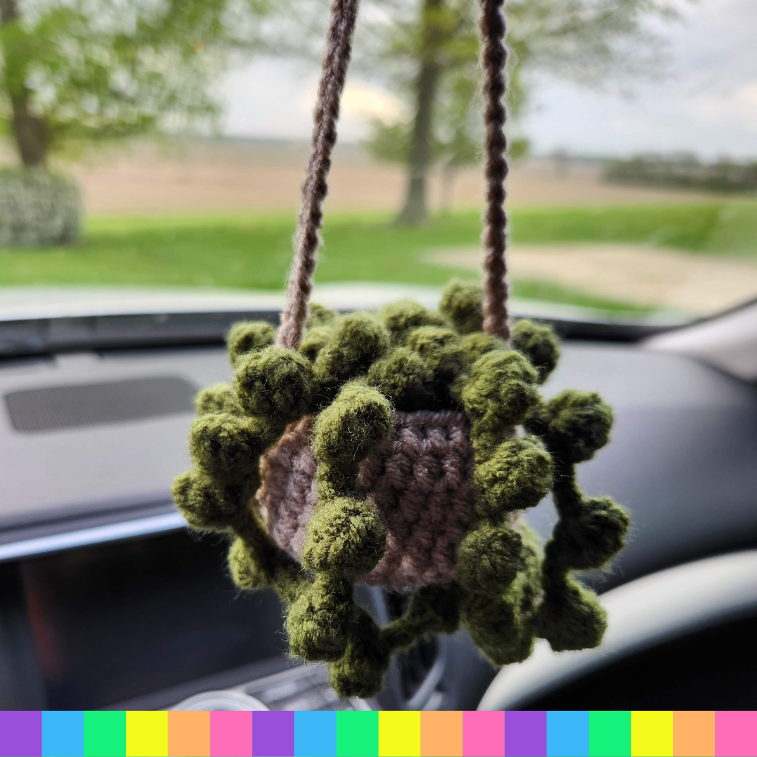 Hanging Plants