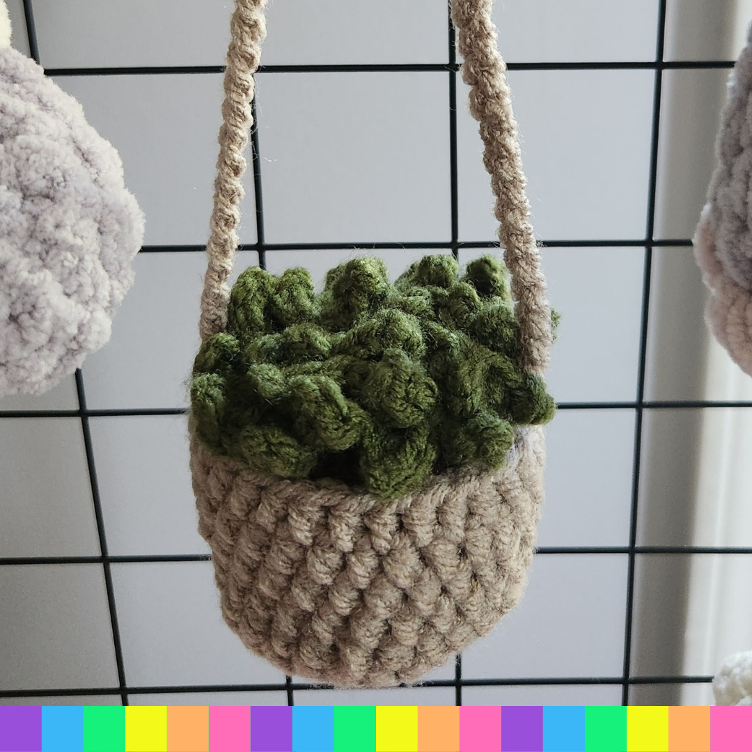 Hanging Plants